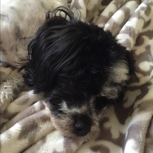 Meet your Posher, Maria